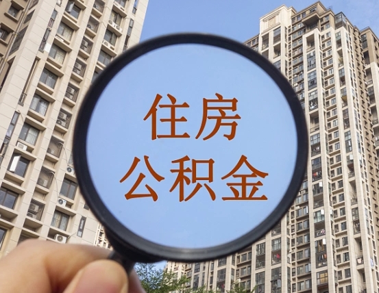 和县退休后查不到公积金明细了吗（退休后公积金查询不到原因）